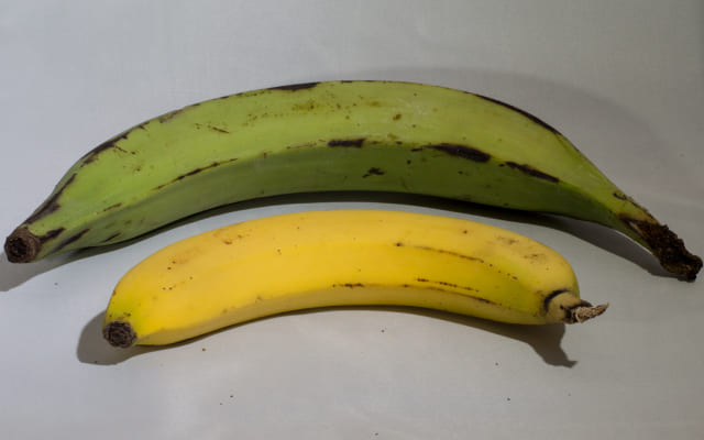 Внешнее отличие банана и плантана