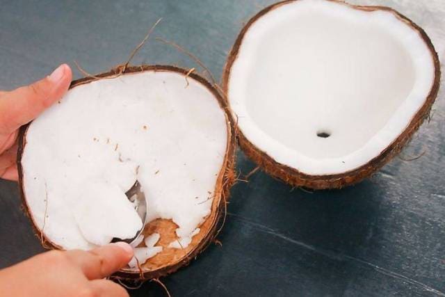 Мякоть кокоса