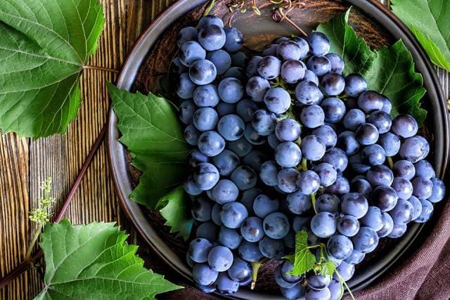 Вред винограда в больших количествах