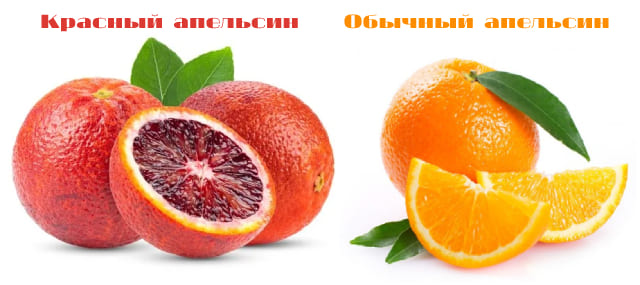 Отличие красного апельсина от обычного