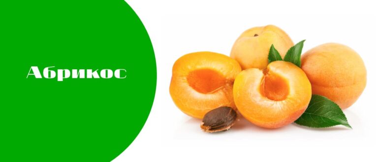 Что такое абрикос?