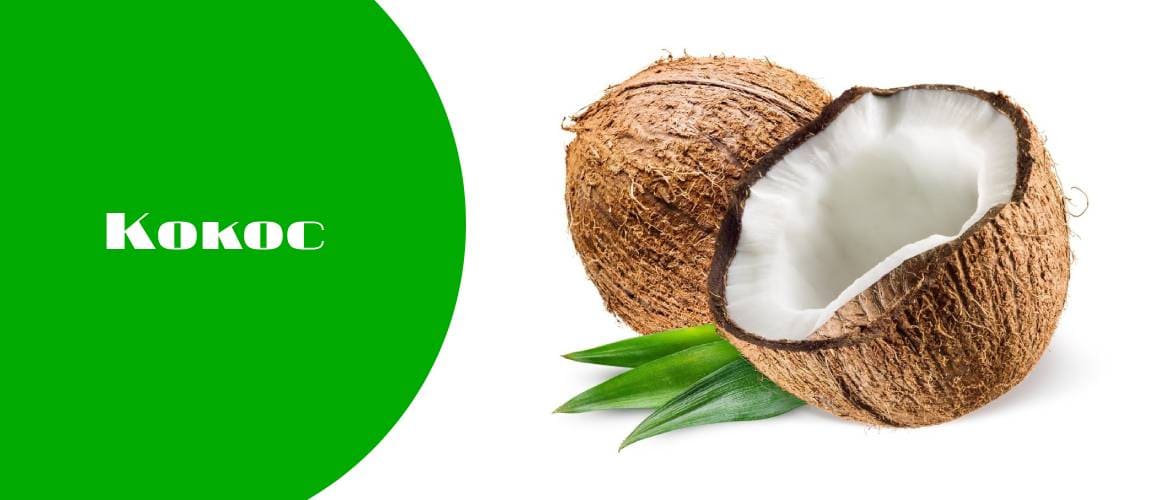 Что такое кокос?