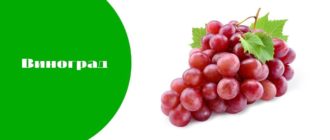 Что такое виноград?